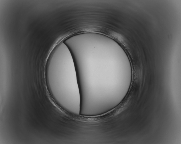 X0000085040986200703051022