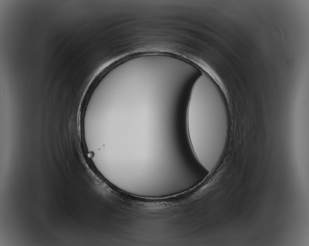 X0000085040988200703051022