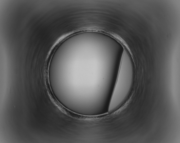 X0000085040989200703051022