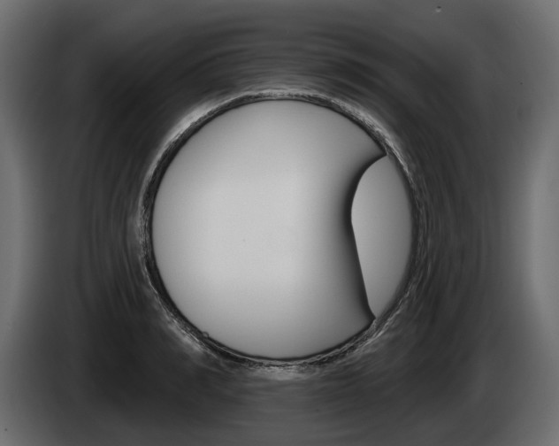 X0000085040990200703051022