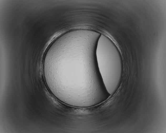 X0000085040994200703051022