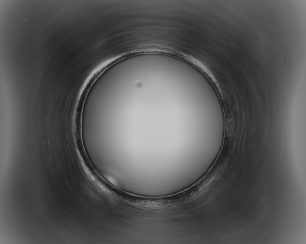 X0000085040995200703051022