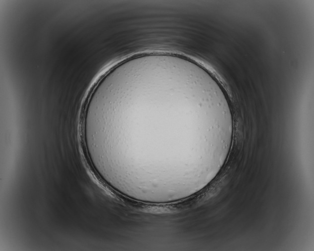 X0000085040998200703051022