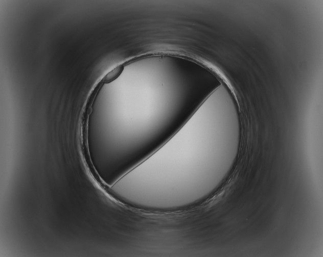 X0000085040999200703051022