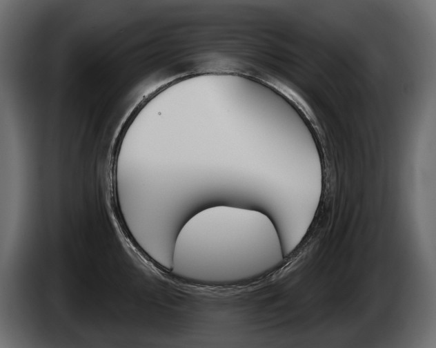 X0000085041000200703051022