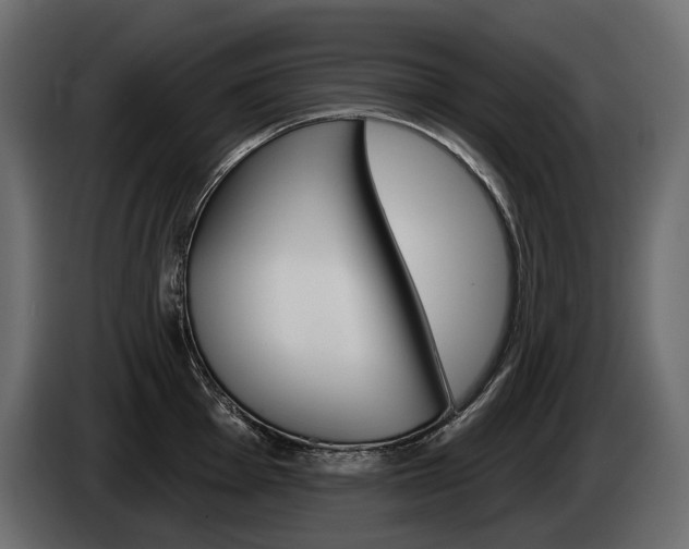 X0000085041001200703051021