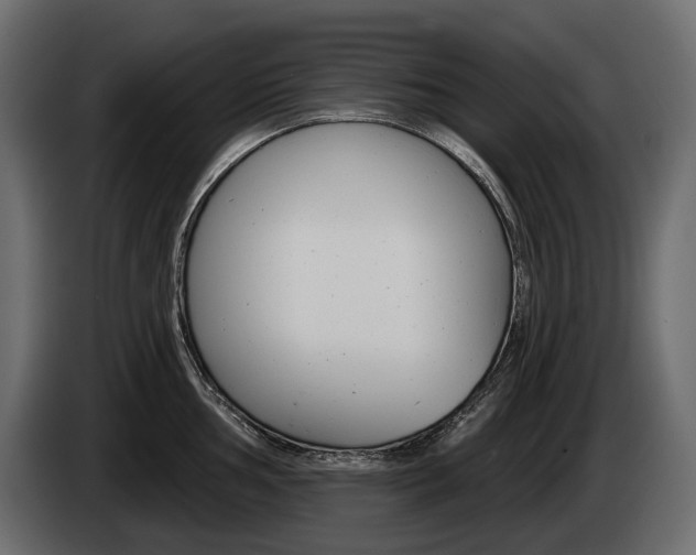 X0000085041002200703051021