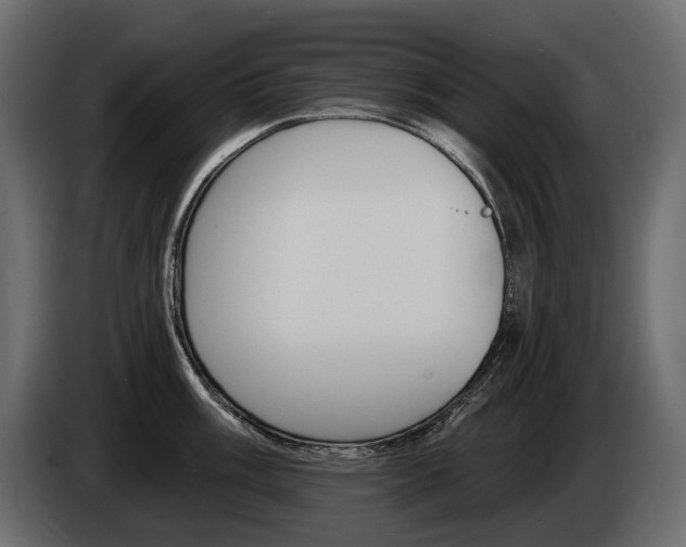 X0000085041003200703051021