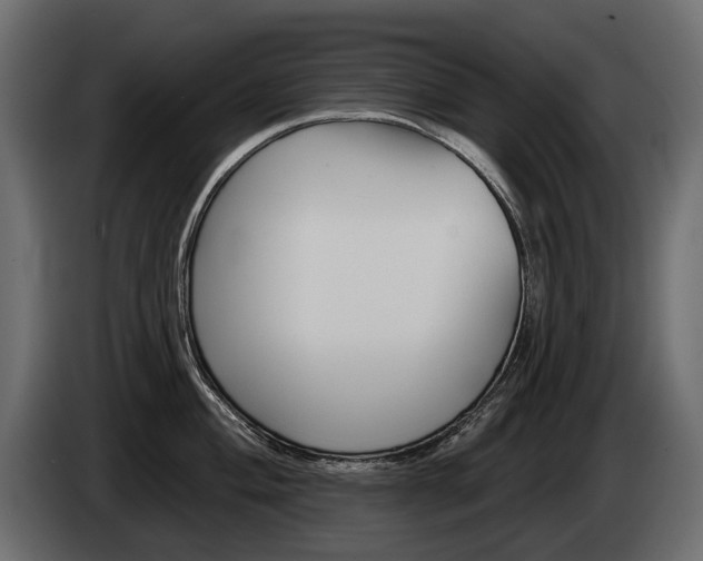 X0000085041004200703051021