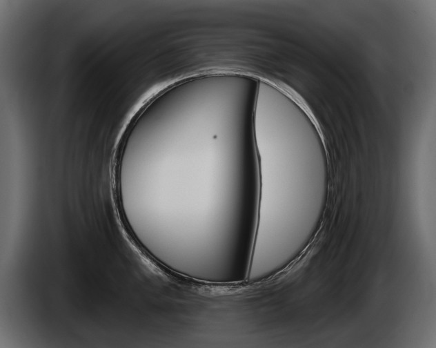 X0000085041005200703051021