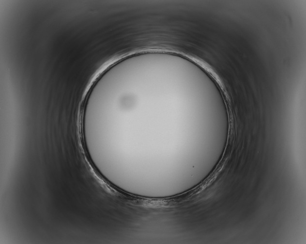 X0000085041006200703051021