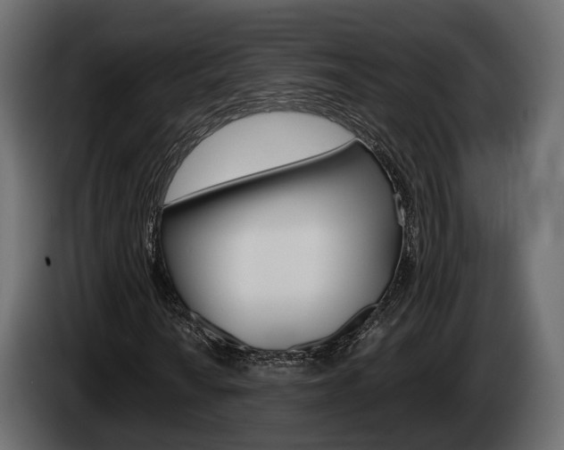 X0000085041010200703051021