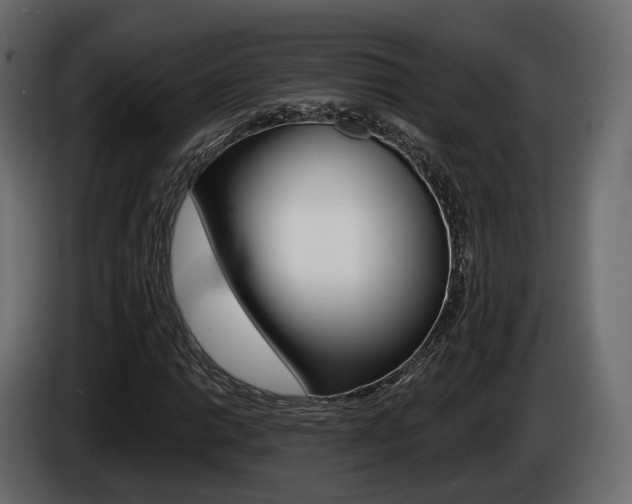 X0000085041014200703051021