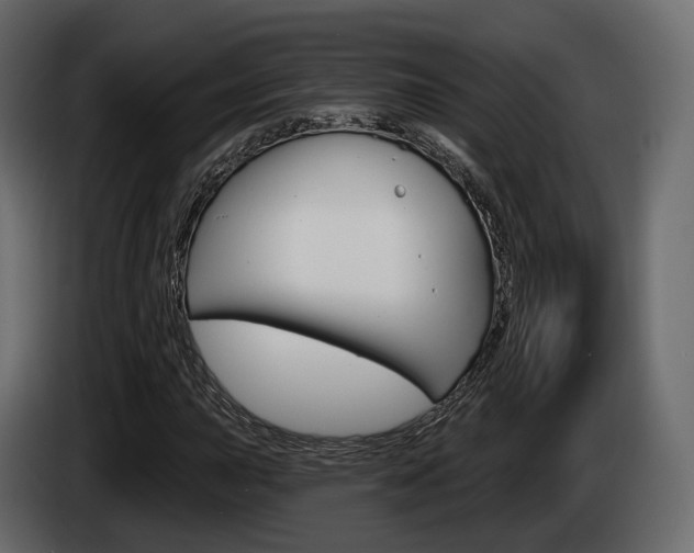 X0000085041015200703051021