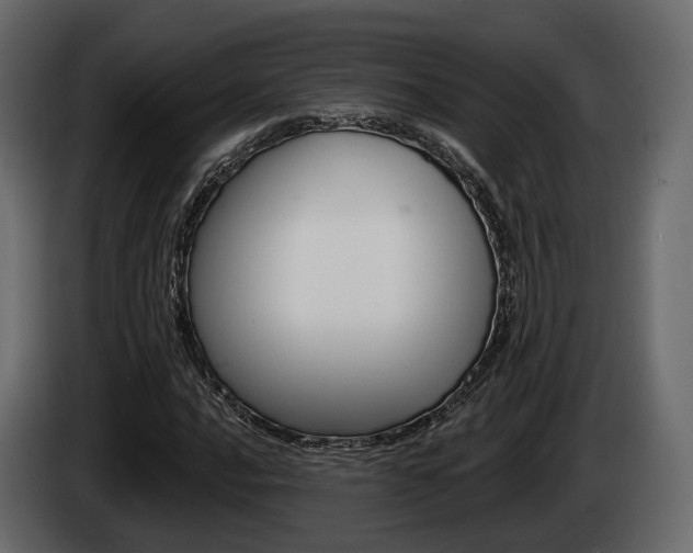 X0000085041016200703051021