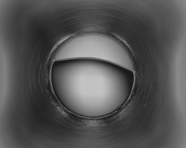 X0000085041018200703051021