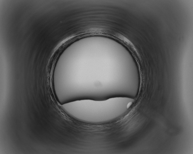 X0000085041019200703051021