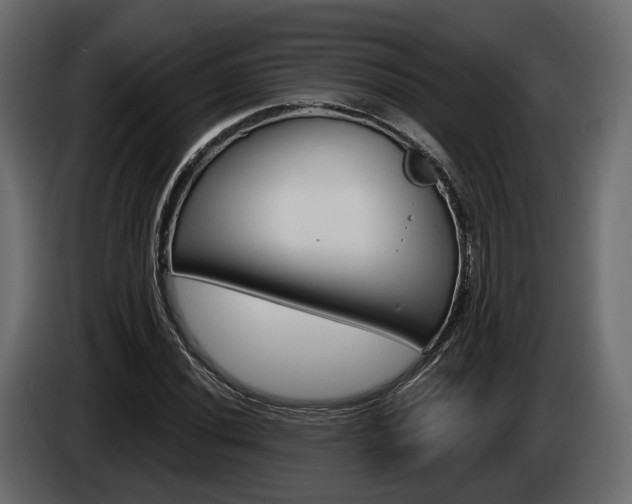 X0000085041020200703051021