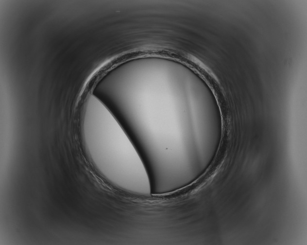 X0000085041021200703051021