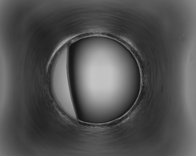 X0000085041022200703051021