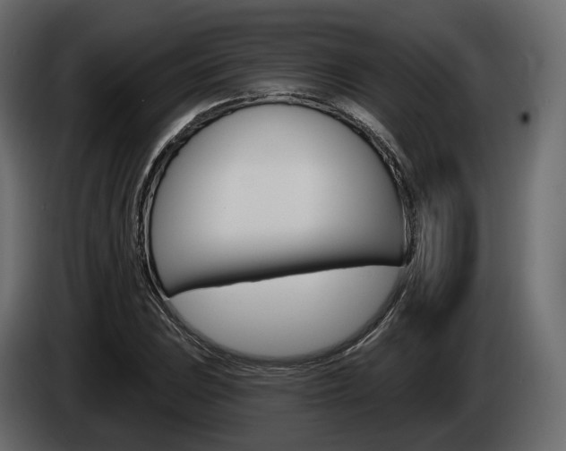 X0000085041023200703051021