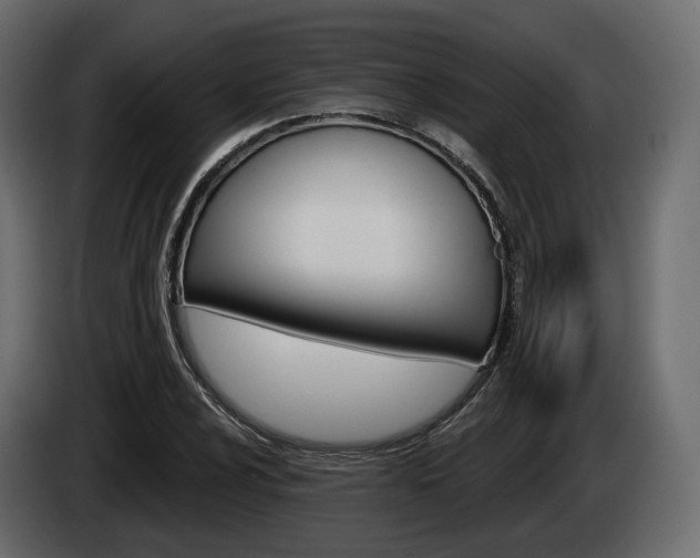 X0000085041024200703051021