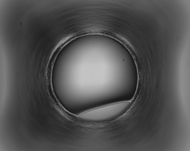 X0000085041026200703051021