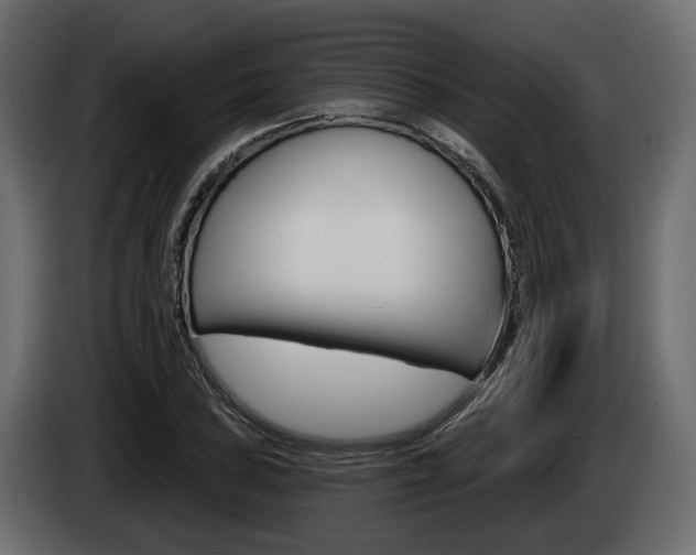 X0000085041027200703051021
