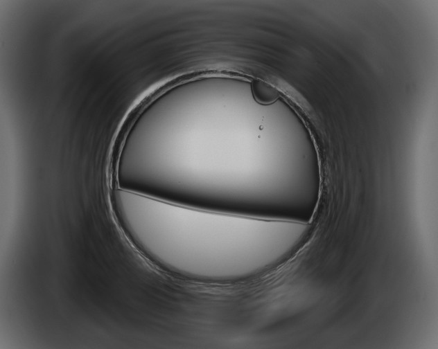 X0000085041028200703051021
