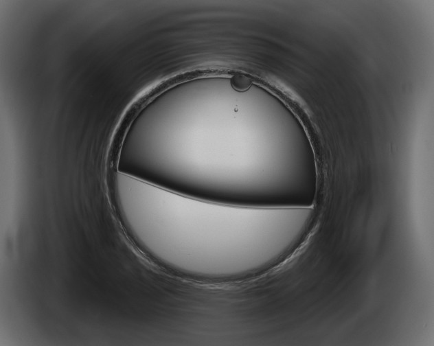 X0000085041029200703051021