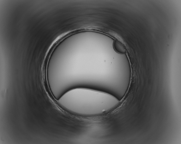 X0000085041032200703051021