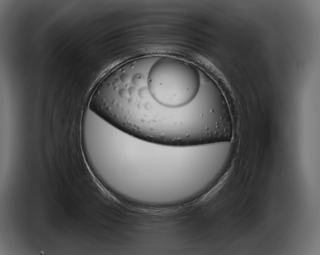 X0000085041033200703051021