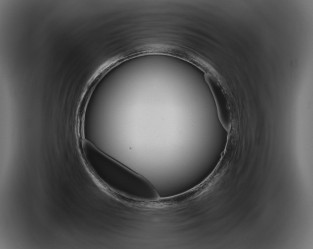 X0000085041034200703051021