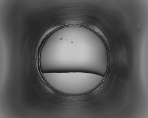 X0000085041035200703051021