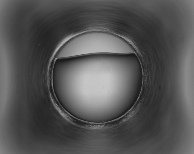 X0000085041038200703051021