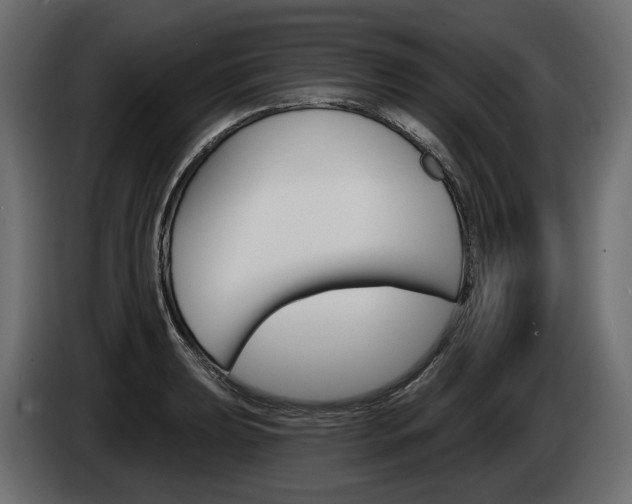 X0000085041039200703051021