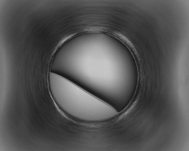 X0000085041041200703051021