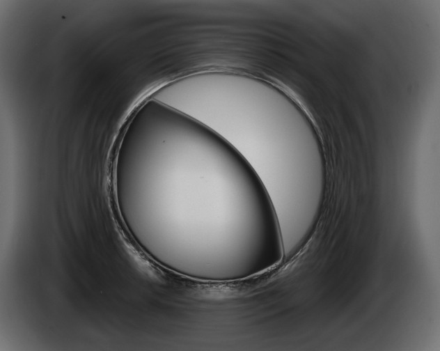 X0000085041042200703051021