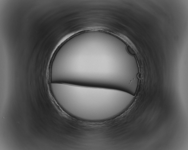 X0000085041044200703051021
