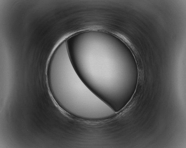 X0000085041046200703051021