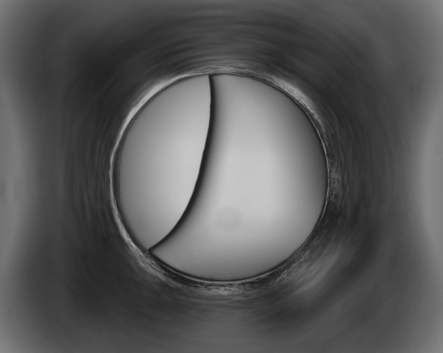 X0000085041047200703051021