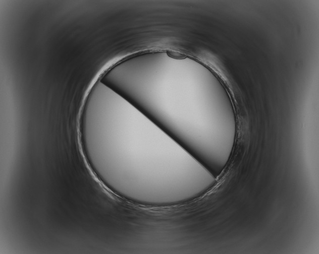 X0000085041048200703051021