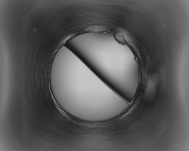 X0000085041049200703051021