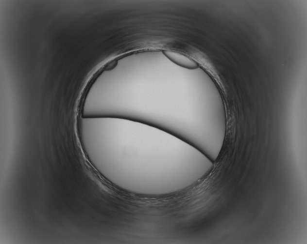 X0000085041051200703051021