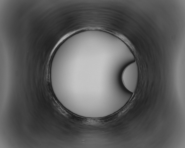 X0000085041052200703051021