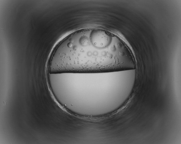 X0000085041053200703051021
