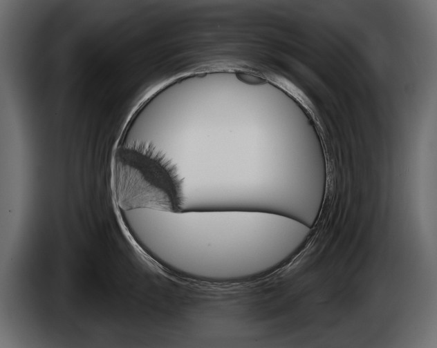 X0000085041055200703051021