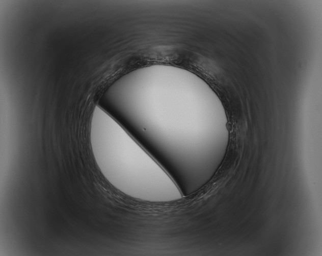 X0000085041058200703051021