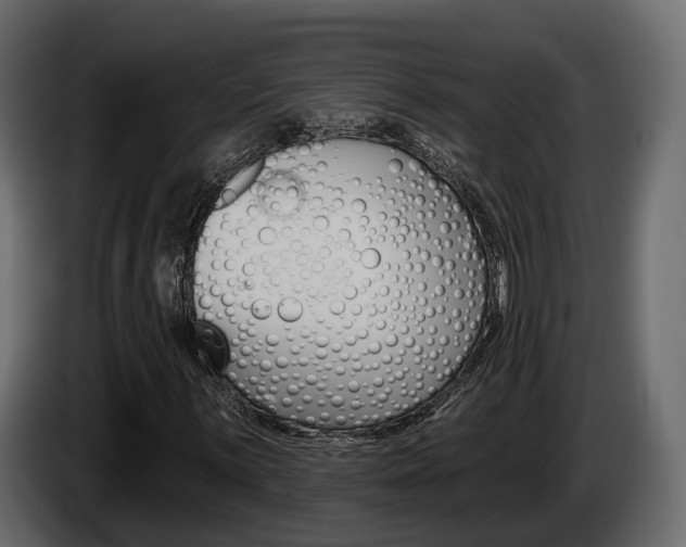 X0000085041059200703051021