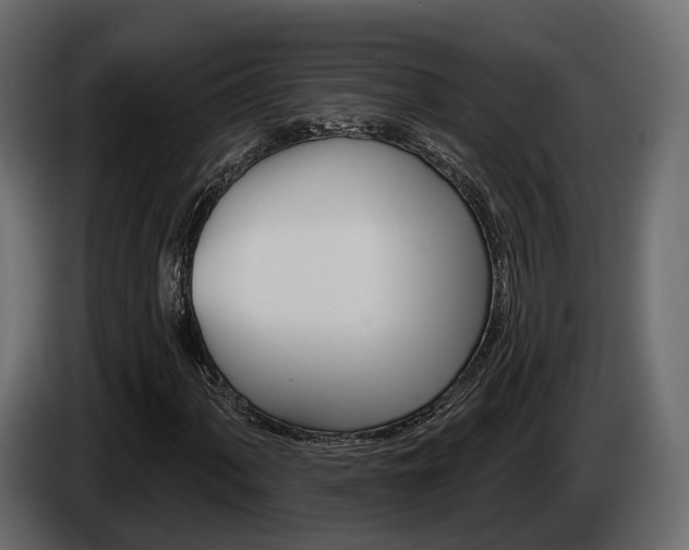 X0000085041060200703051021